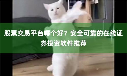 股票交易平台哪个好？安全可靠的在线证券投资软件推荐