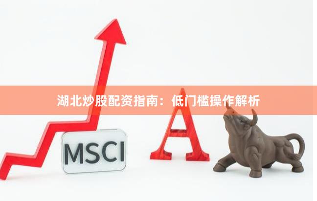 湖北炒股配资指南：低门槛操作解析